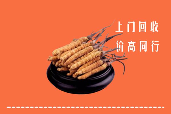 菏泽回收冬虫夏草